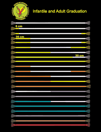 Gradua&ccedil;&atilde;o System