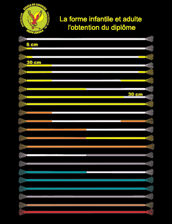 Syst&egrave;me Gradua&ccedil;&atilde;o