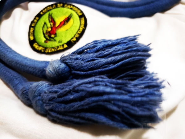 Sistema de Gradua&ccedil;&atilde;o